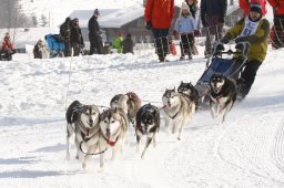 Lenk 2012 SM
